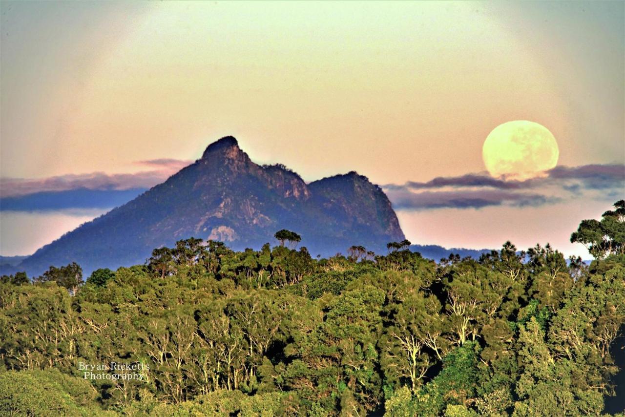 Affittacamere Tropical Coast Retreat - Pet Friendly - Adult Only Kingscliff Esterno foto
