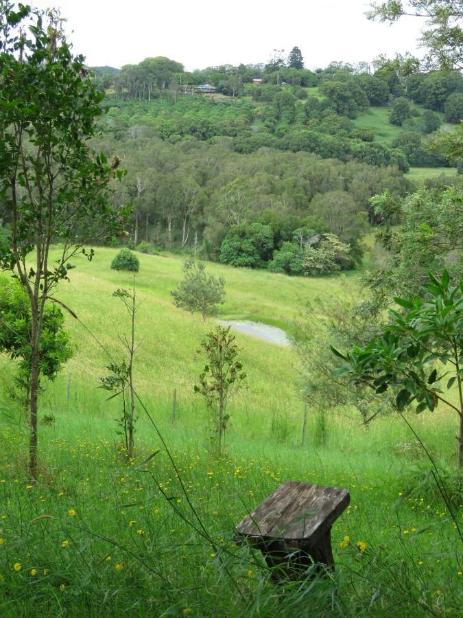 Affittacamere Tropical Coast Retreat - Pet Friendly - Adult Only Kingscliff Esterno foto