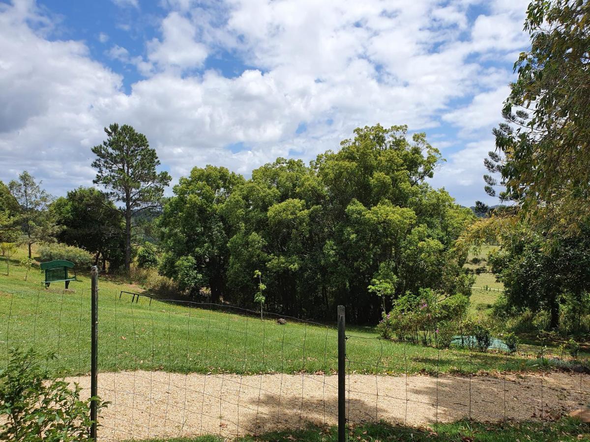 Affittacamere Tropical Coast Retreat - Pet Friendly - Adult Only Kingscliff Esterno foto