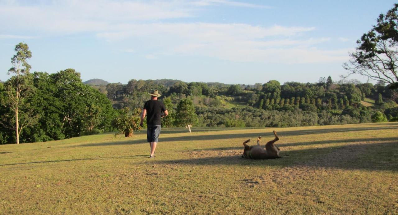 Affittacamere Tropical Coast Retreat - Pet Friendly - Adult Only Kingscliff Esterno foto