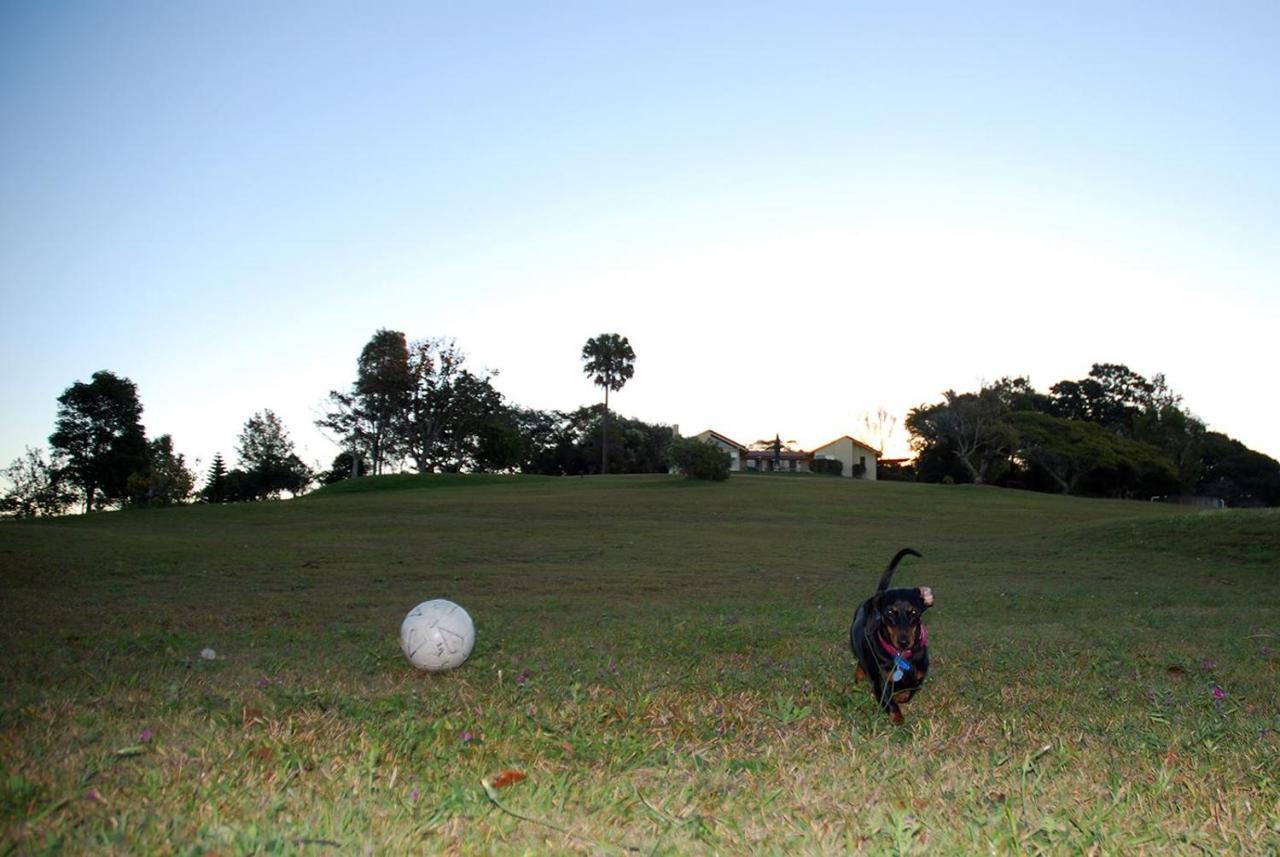 Affittacamere Tropical Coast Retreat - Pet Friendly - Adult Only Kingscliff Esterno foto