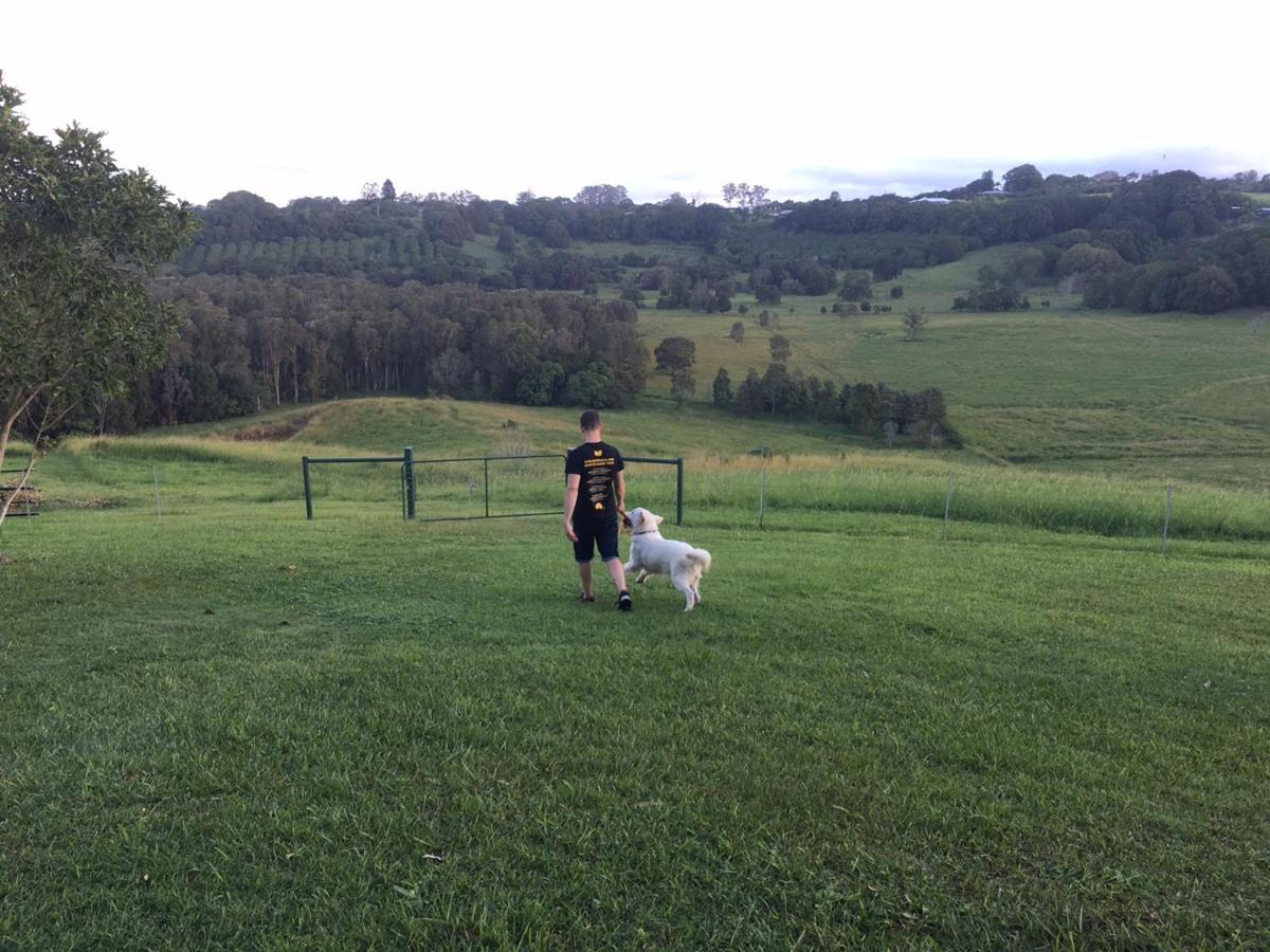 Affittacamere Tropical Coast Retreat - Pet Friendly - Adult Only Kingscliff Esterno foto