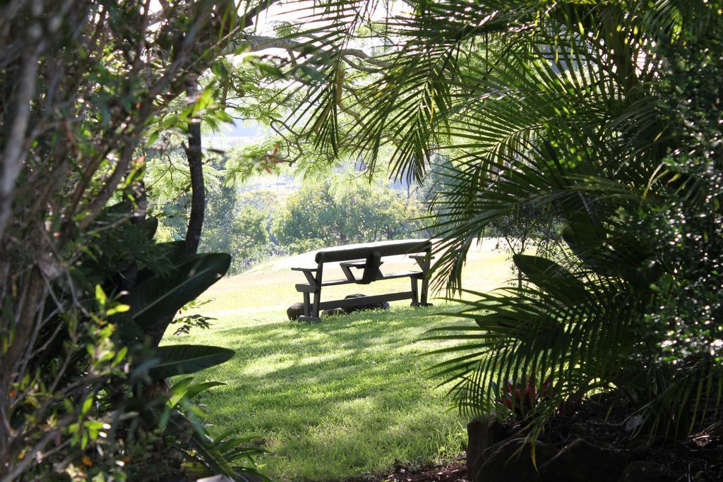 Affittacamere Tropical Coast Retreat - Pet Friendly - Adult Only Kingscliff Esterno foto