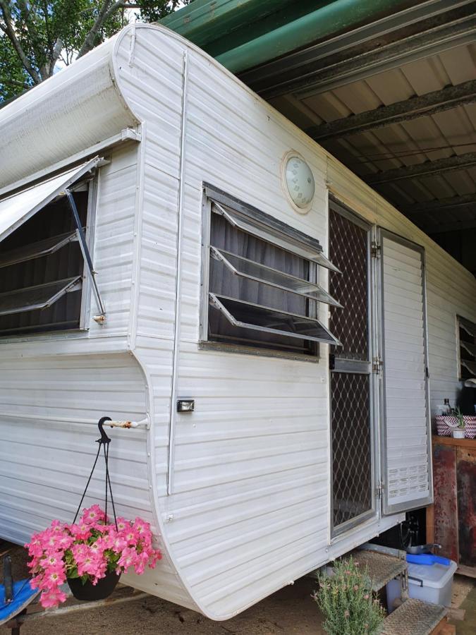 Affittacamere Tropical Coast Retreat - Pet Friendly - Adult Only Kingscliff Camera foto