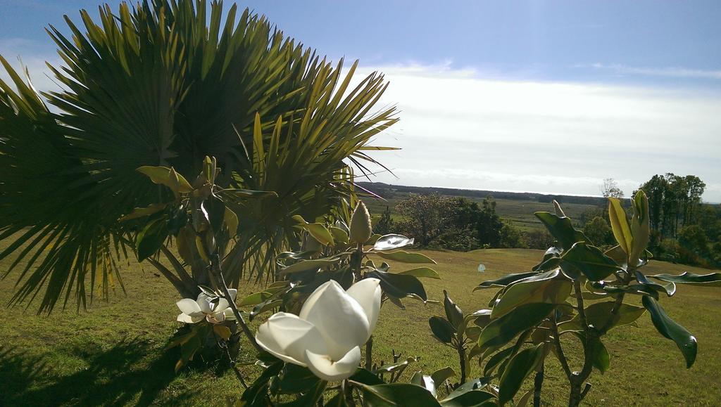 Affittacamere Tropical Coast Retreat - Pet Friendly - Adult Only Kingscliff Esterno foto