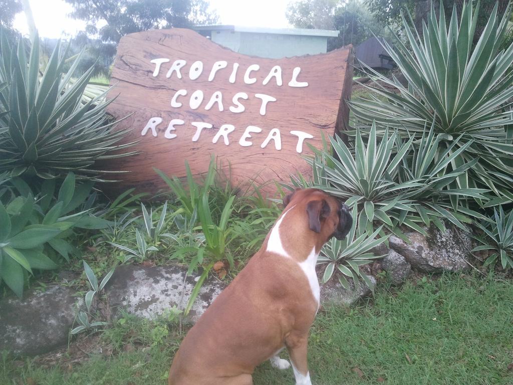Affittacamere Tropical Coast Retreat - Pet Friendly - Adult Only Kingscliff Esterno foto